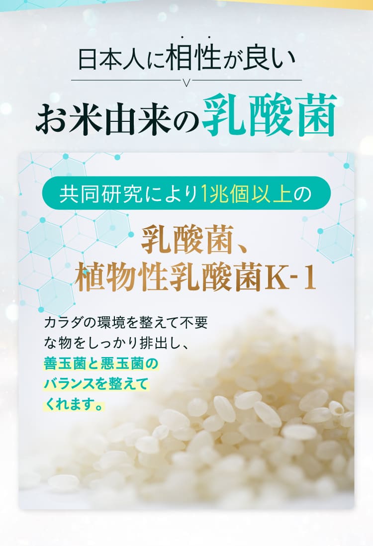 日本人に相性が良いお米由来の乳酸菌